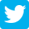Twitter Link